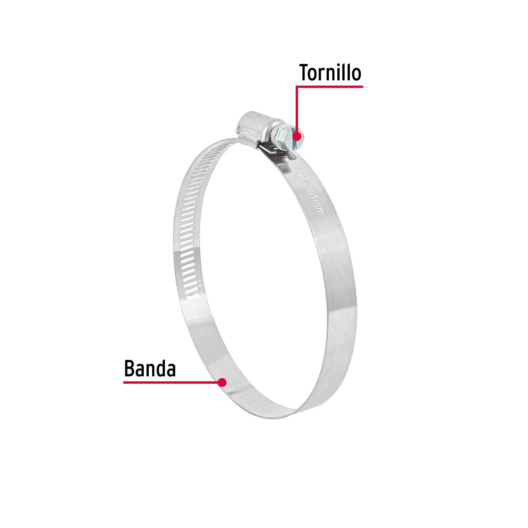 Bolsa c/5 abrazaderas sin fin reforzadas #56, 3-1/16 - 4 AB-56, Foto 2 Tienda en línea de herramientas Truper