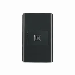 Placa armada negra 1 toma para teléfono 1.5 mód, Lisboa, Foto 1 Tienda en línea de herramientas Truper