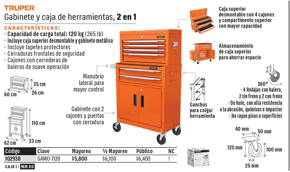 Ficha 1 del catálogo, página 163