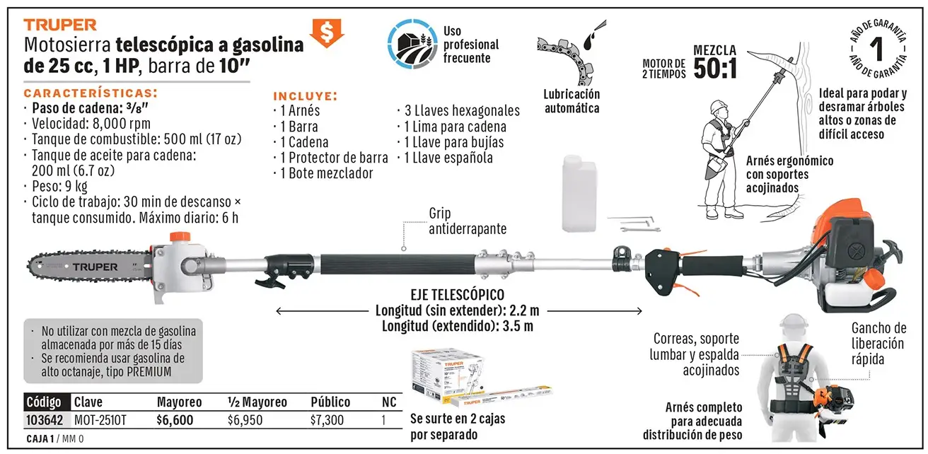 Ficha 1 del catálogo, página 276