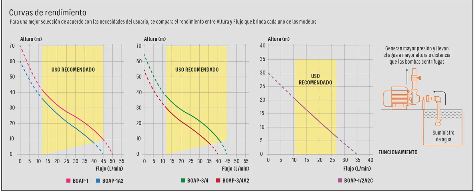 Ficha 3 del catálogo, página 43