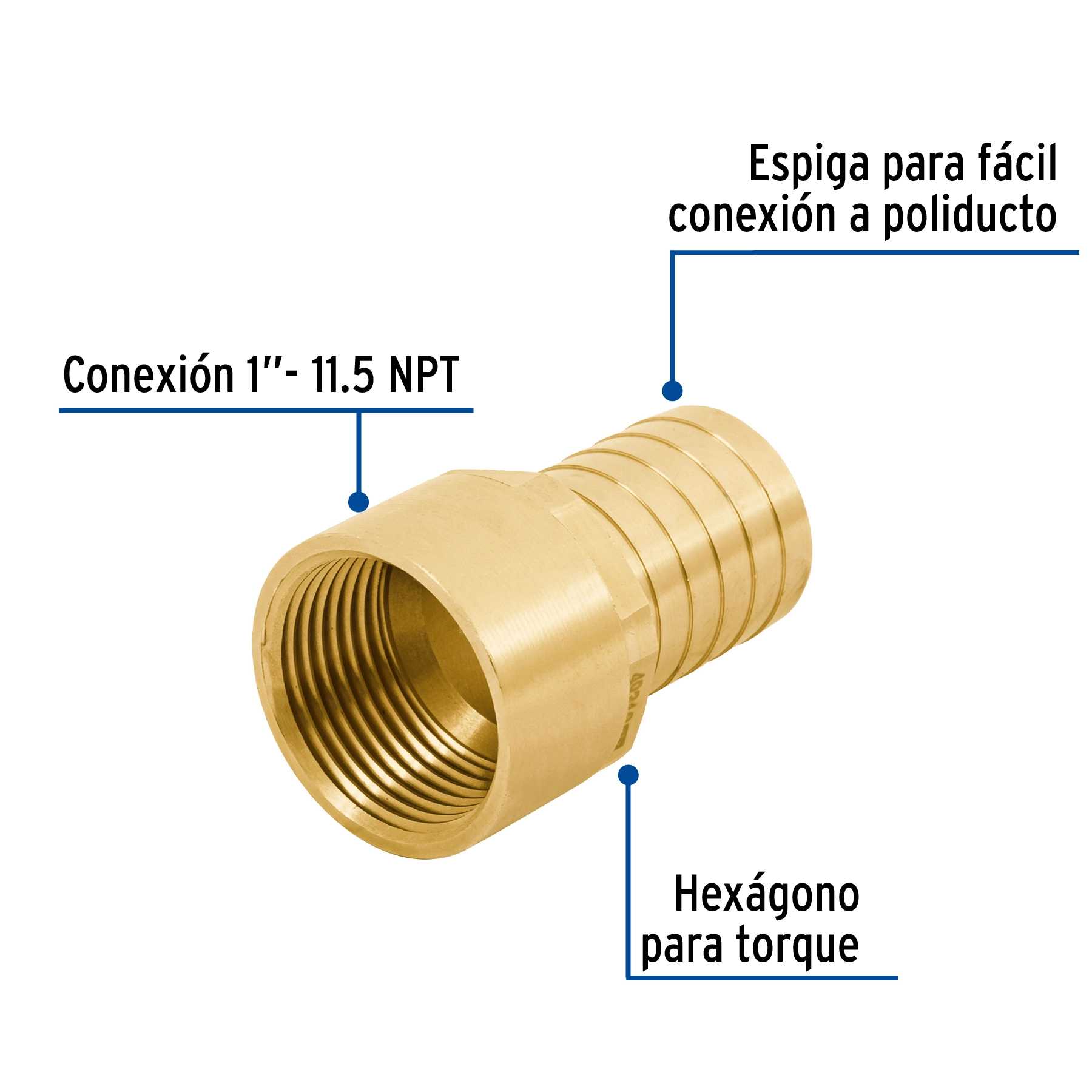 Adaptador hembra de latón 1' para manguera, FOSET