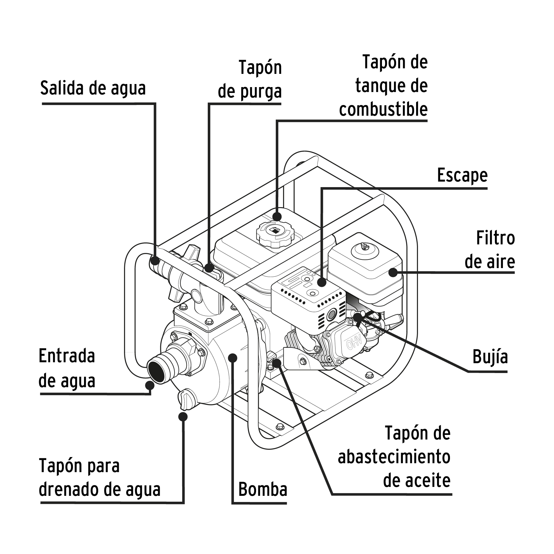 Vista 2